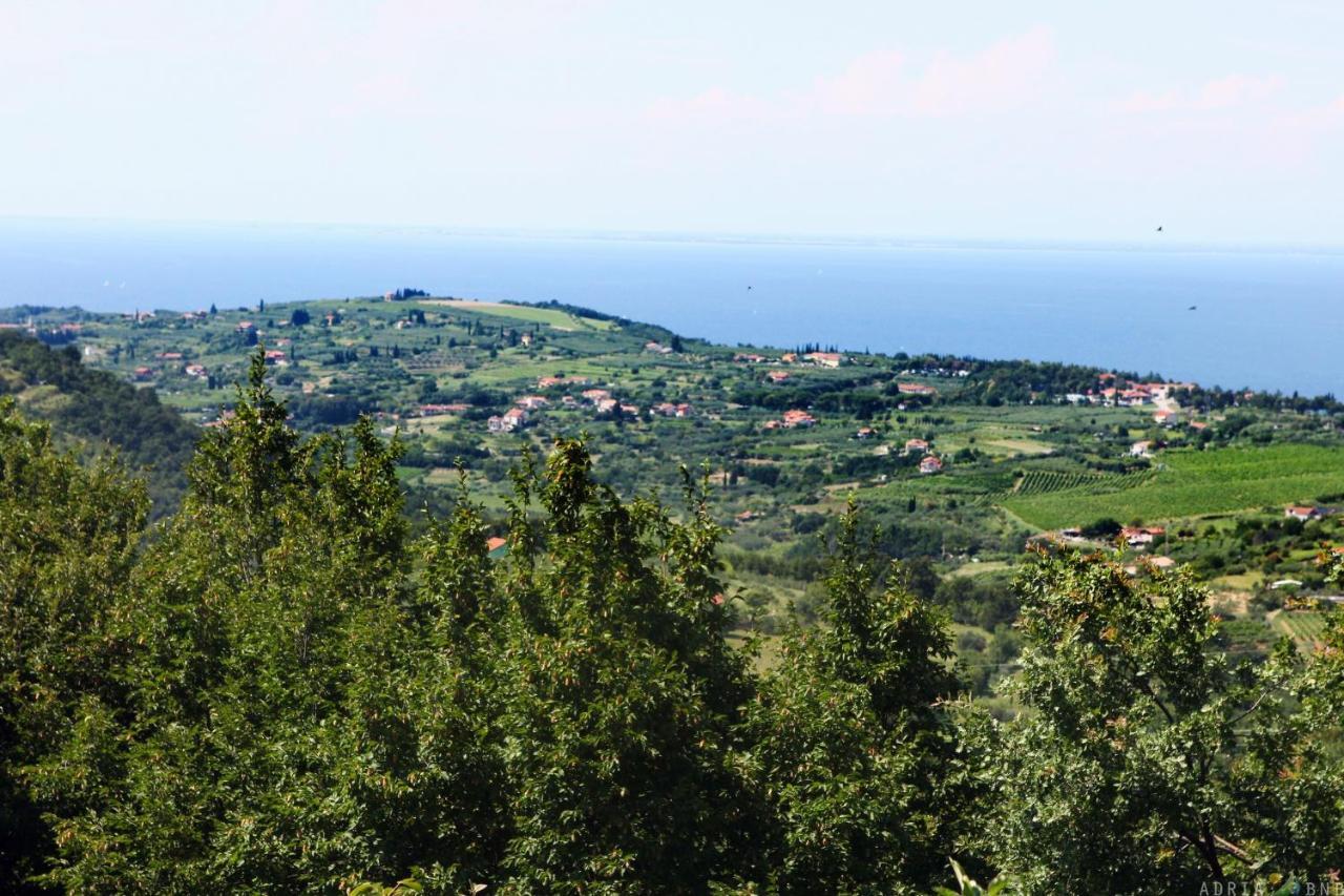 Garden Ville Izola Mira ภายนอก รูปภาพ